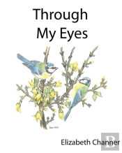 Through My Eyes