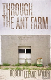 Through The Ant Farm