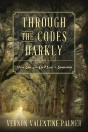 Through The Codes Darkly