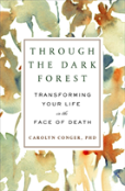Through The Dark Forest