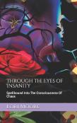 Through The Eyes Of Insanity