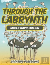Through The Labyrinth Mazes Hard Edition
