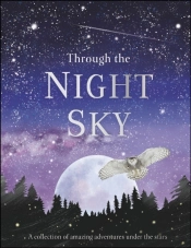 Through The Night Sky