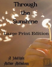 Through The Sunshine Large Print