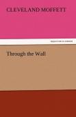 Through The Wall