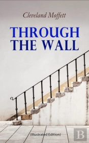 Through The Wall (Illustrated Edition)