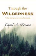 Through The Wilderness