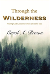 Through The Wilderness