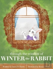 Through The Window Of Winter The Rabbit