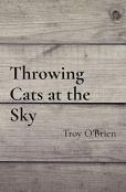 Throwing Cats At The Sky