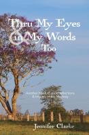 Thru My Eyes And In My Words Too