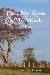 Thru My Eyes And In My Words Too