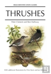 Thrushes