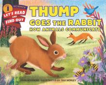 Thump Goes The Rabbit