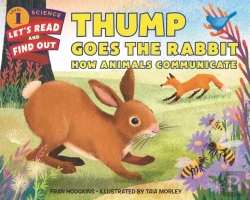 Bertrand.pt - Thump Goes The Rabbit