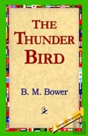 Thunder Bird