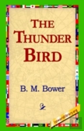 Thunder Bird