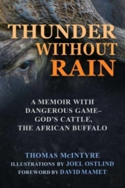 Bertrand.pt - Thunder Without Rain