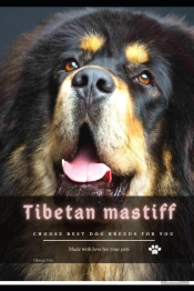 Tibetan Mastiff