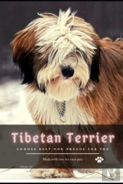 Tibetan Terrier
