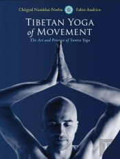 Tibetan Yoga Of Movement