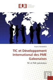 Tic Et Developpement International Des Pme Gabonaises
