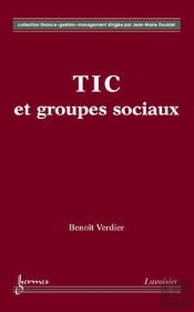 Tic Et Groupes Sociaux Collection Finance Gestion Management