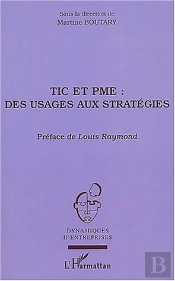 Tic Et Pme : Des Usages Aux Strategies