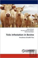 Ticks Infestation In Bovine