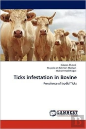 Ticks Infestation In Bovine