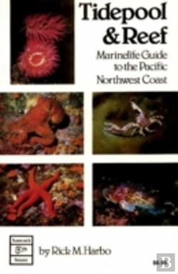 Bertrand.pt - Tidepool & Reef
