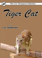 Tiger Cat
