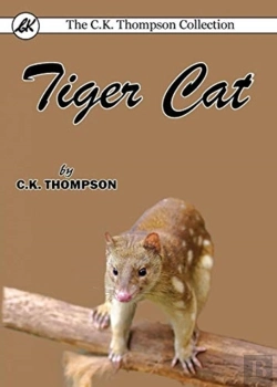 Bertrand.pt - Tiger Cat