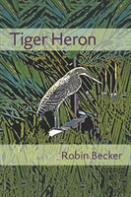 Tiger Heron