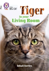 Tiger In Your Living Room