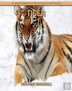 Bertrand.pt - Tiger