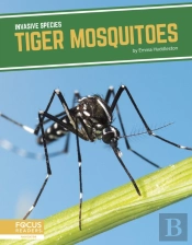 Tiger Mosquitoes