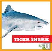 Tiger Shark