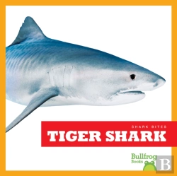 Bertrand.pt - Tiger Shark