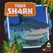 Tiger Shark