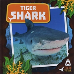 Bertrand.pt - Tiger Shark