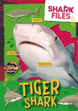 Bertrand.pt - Tiger Shark
