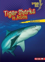 Tiger Sharks In Action