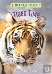 Tiger Time