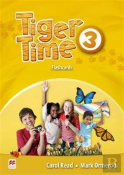 Tiger Time Level 3 Flashcards