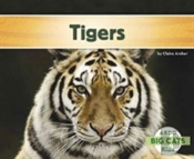 Tigers