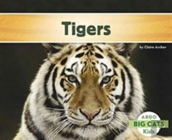 Bertrand.pt - Tigers