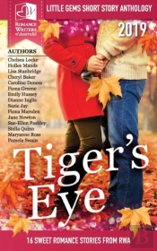 Tigers Eye - 2019 Rwa Little Gems Short Story Anthology
