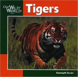 Bertrand.pt - Tigers