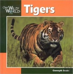 Bertrand.pt - Tigers